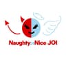 NaughtyJOI VR porn studio logo